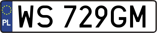 WS729GM
