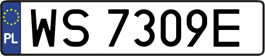 WS7309E
