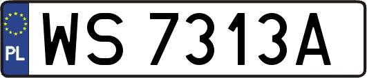 WS7313A