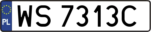WS7313C