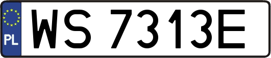 WS7313E