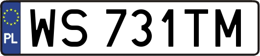 WS731TM