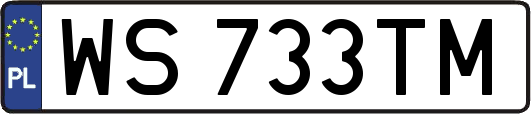 WS733TM
