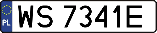 WS7341E