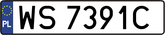WS7391C