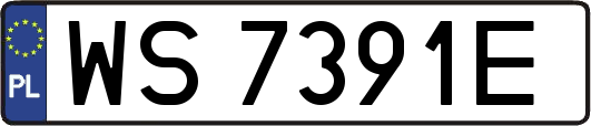 WS7391E