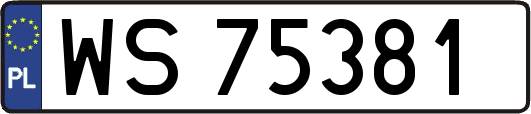 WS75381