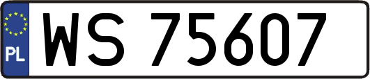 WS75607