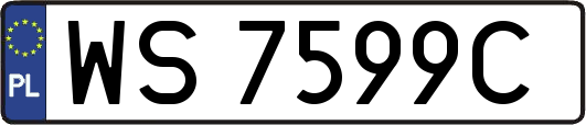 WS7599C
