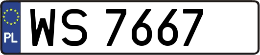 WS7667