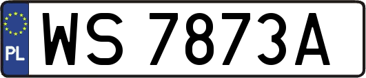 WS7873A