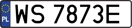 WS7873E