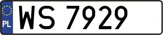 WS7929