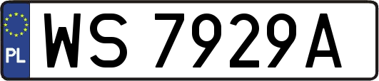 WS7929A