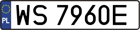 WS7960E