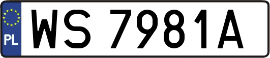 WS7981A