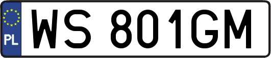 WS801GM