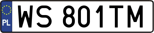 WS801TM