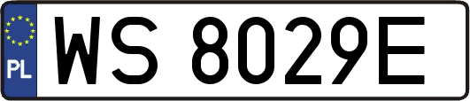 WS8029E