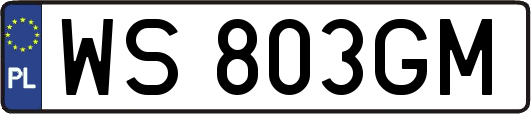 WS803GM