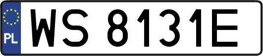 WS8131E