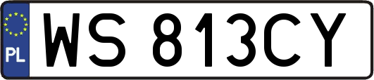 WS813CY