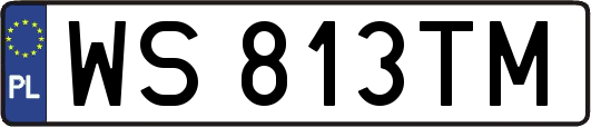 WS813TM