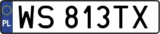 WS813TX