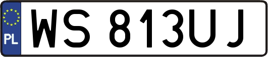 WS813UJ