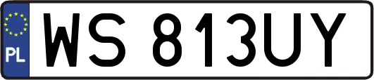 WS813UY