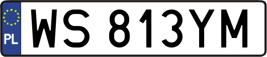 WS813YM