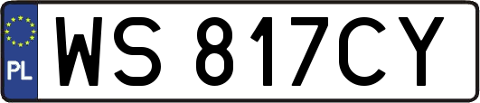 WS817CY