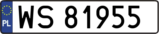 WS81955