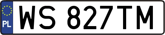 WS827TM