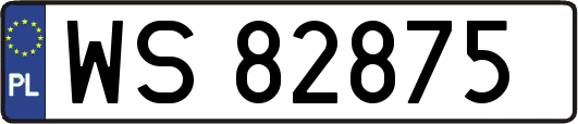 WS82875