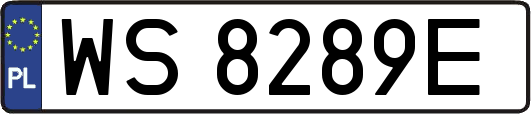 WS8289E