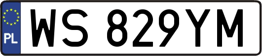WS829YM