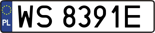 WS8391E