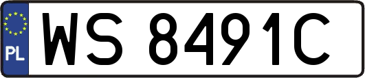 WS8491C