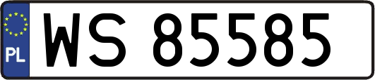 WS85585
