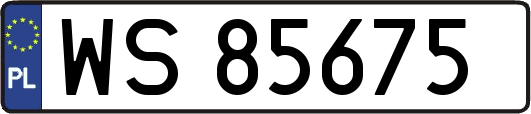 WS85675