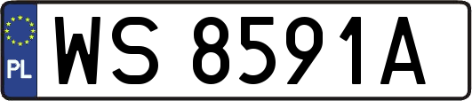 WS8591A