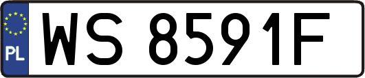 WS8591F