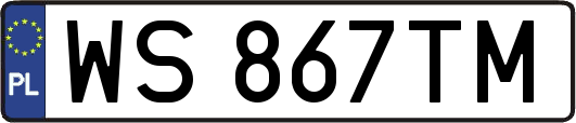 WS867TM