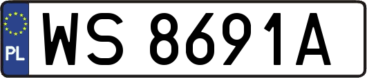 WS8691A