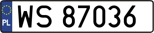 WS87036