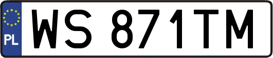 WS871TM