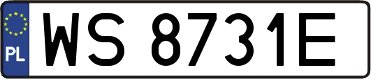 WS8731E
