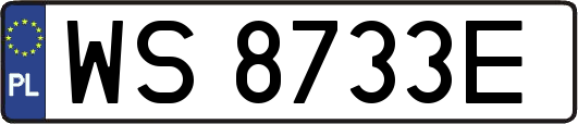 WS8733E
