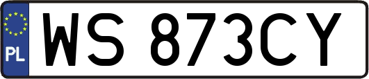 WS873CY